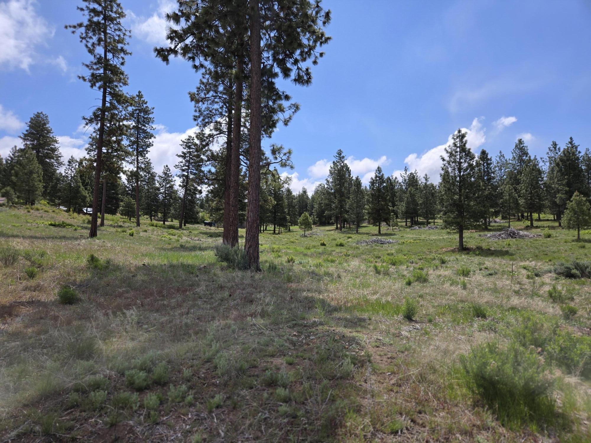 Ranch Road Chiloquin, OR 97624 - Photo 7 of 13 Lot