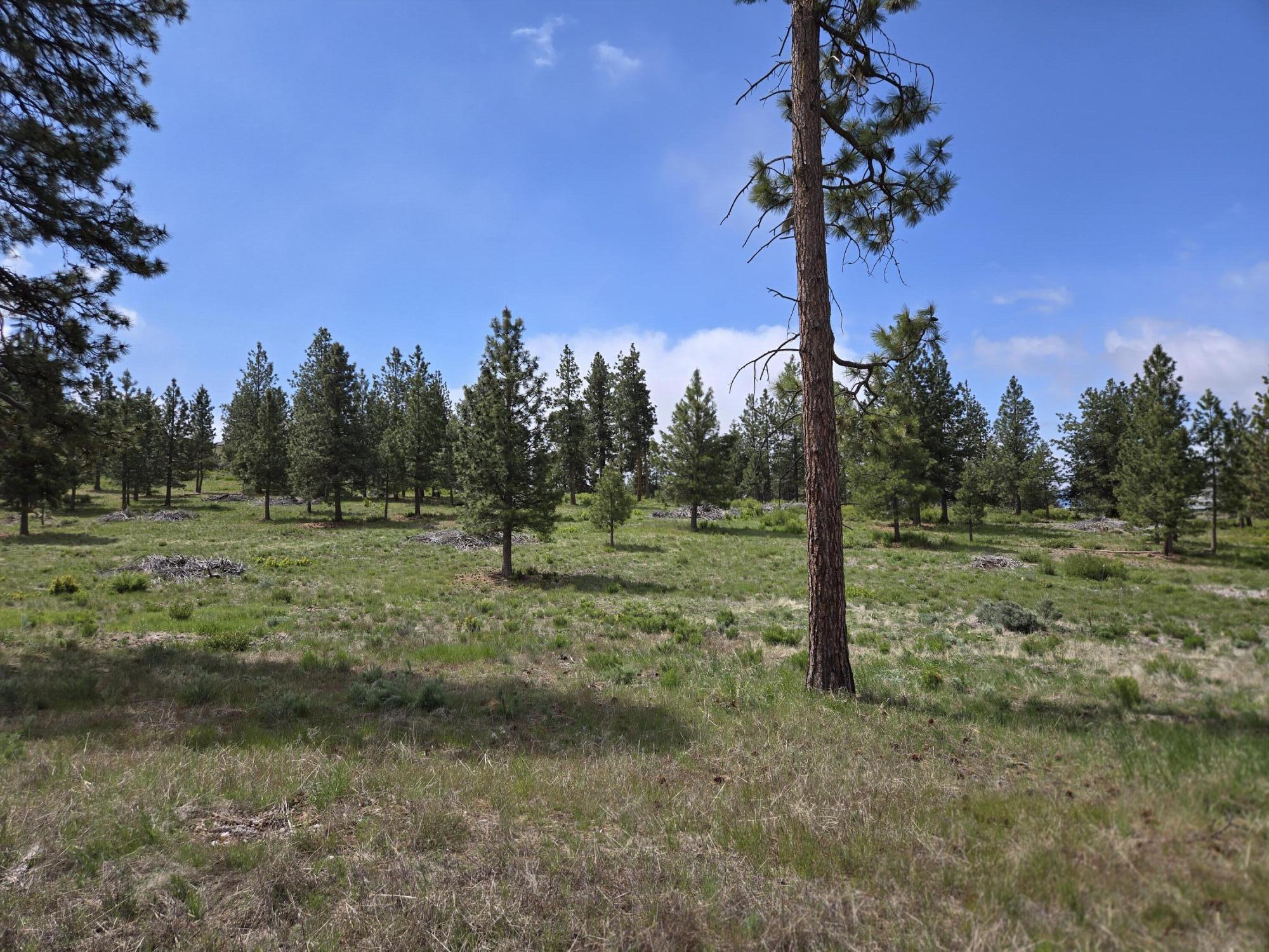 Ranch Road Chiloquin, OR 97624 - Photo 8 of 13 Lot