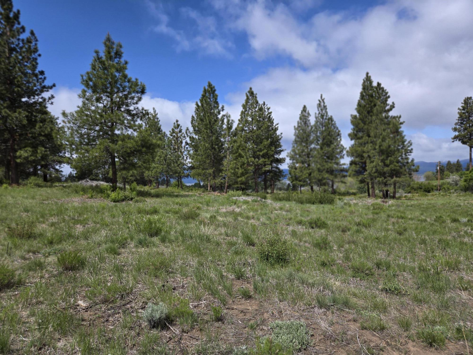 Ranch Road Chiloquin, OR 97624 - Photo 9 of 13 20250517_110824 Evonne Woods