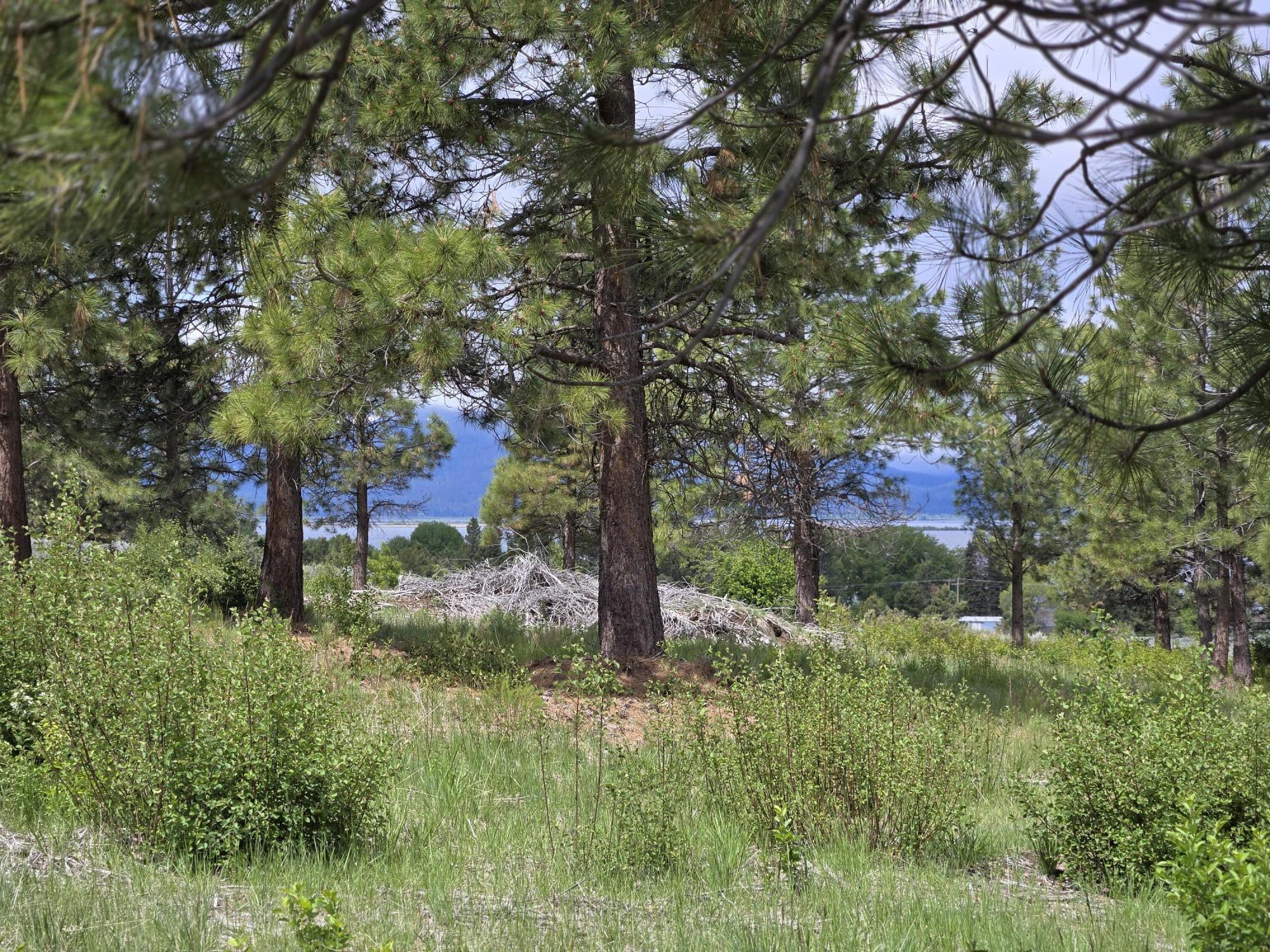 Ranch Road Chiloquin, OR 97624 - Photo 10 of 13 Lot