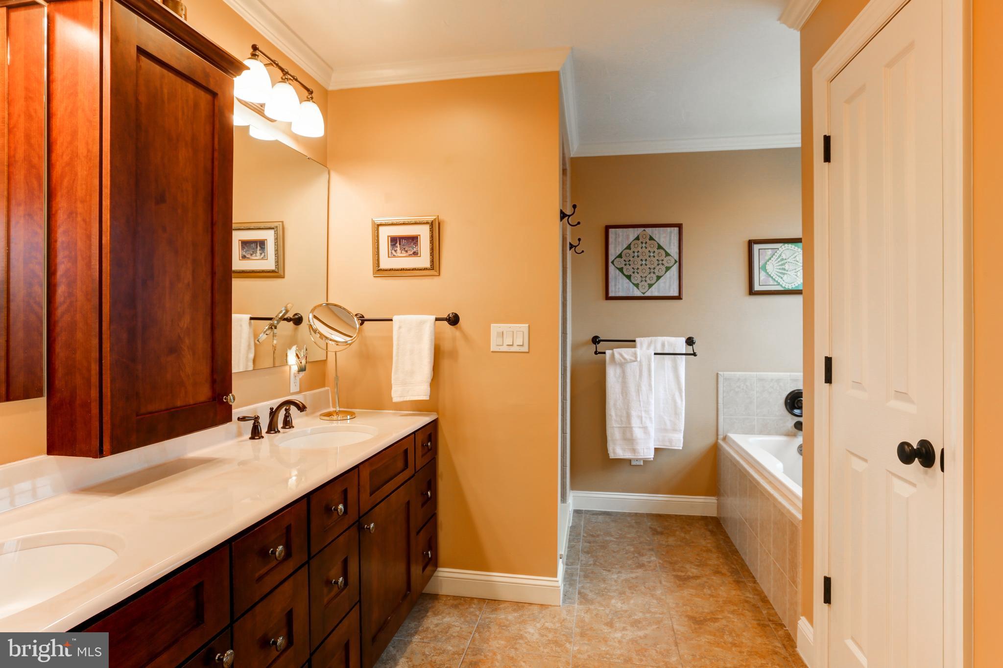 667 South River Road Halifax, PA 17032 - Photo 32 of 82 Primary bathroom
