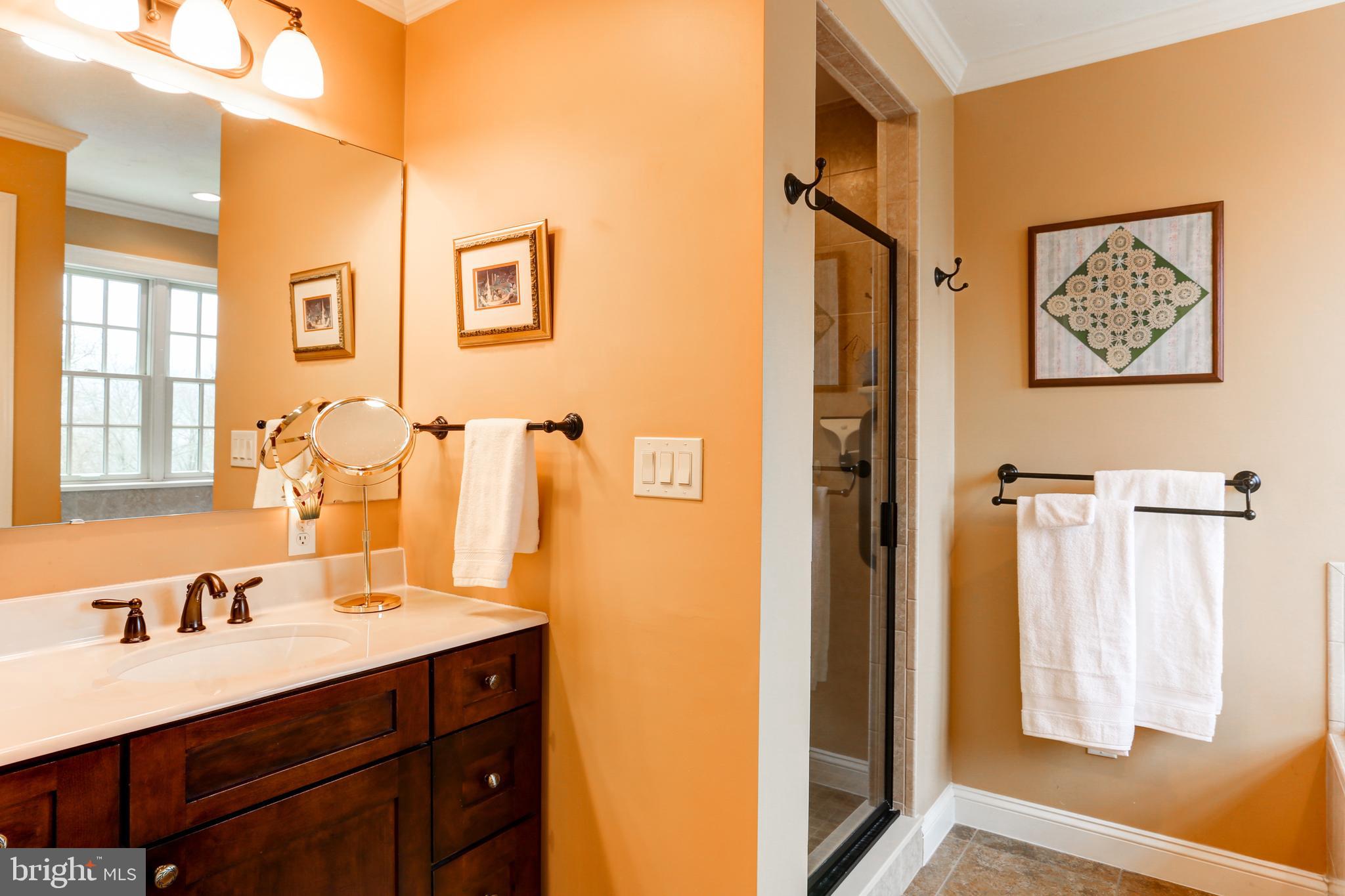 667 South River Road Halifax, PA 17032 - Photo 33 of 82 Primary bathroom
