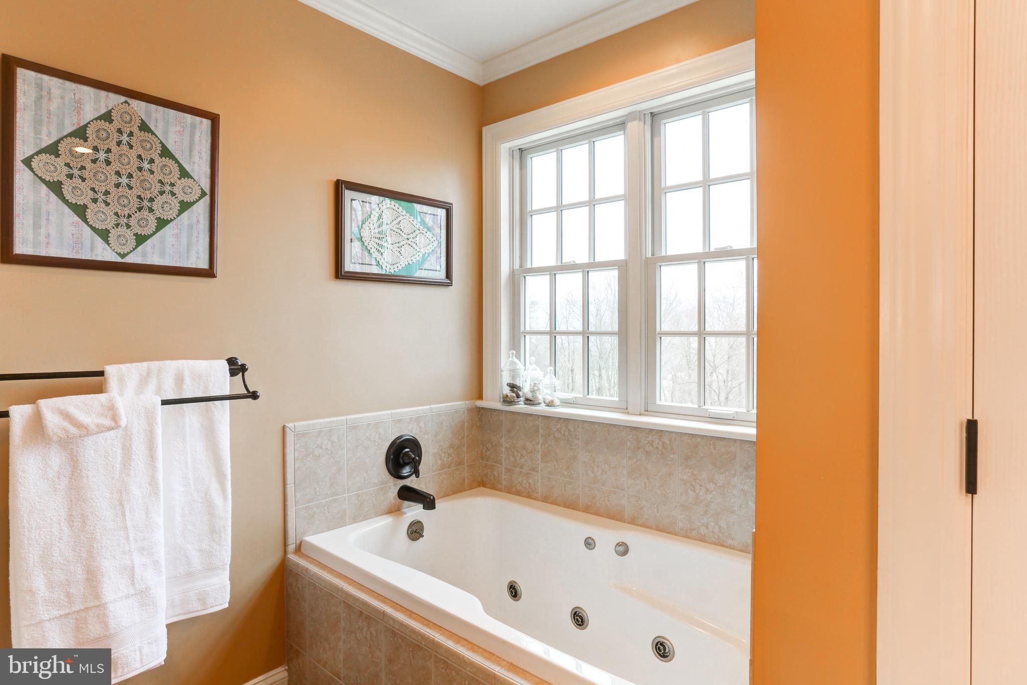 667 South River Road Halifax, PA 17032 - Photo 34 of 82 Primary bathroom