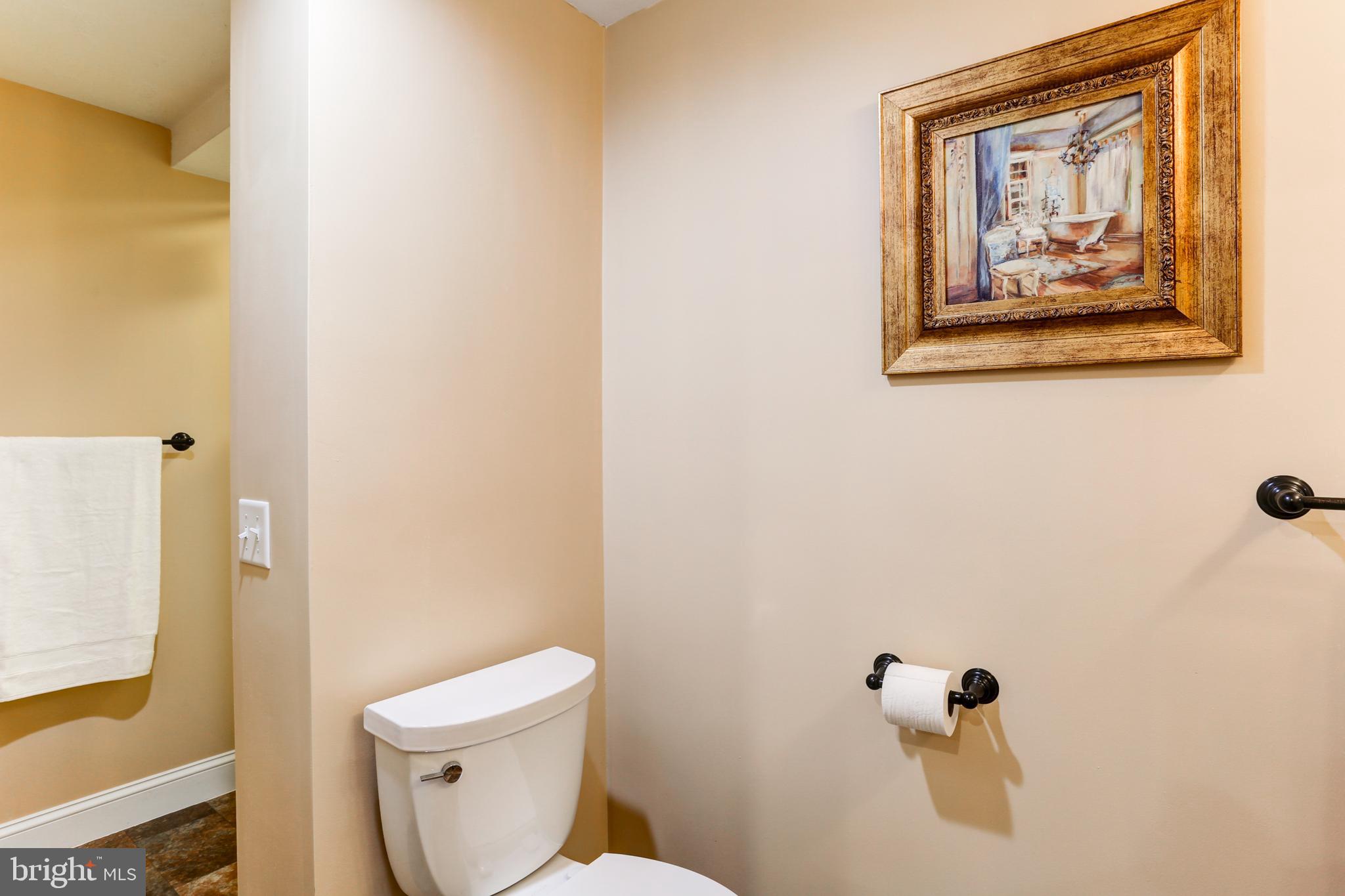 667 South River Road Halifax, PA 17032 - Photo 55 of 82 Lower level bathroom
