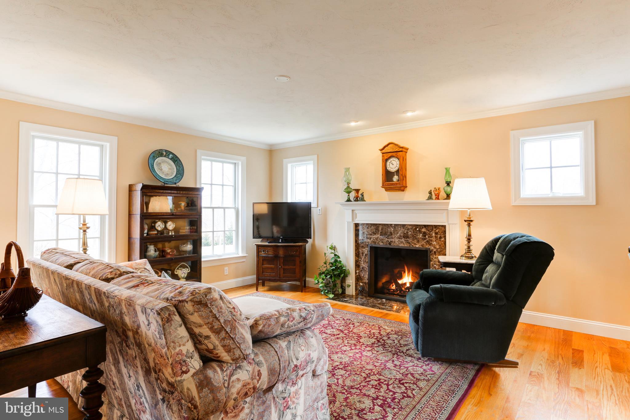 667 South River Road Halifax, PA 17032 - Photo 7 of 82 Living room with gas fireplace