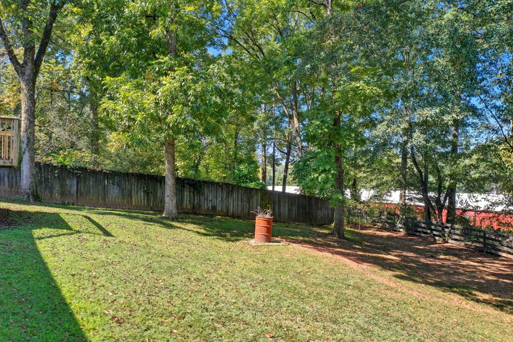 255 Lowry Street Ball Ground, GA 30107 - Photo 19 of 23
