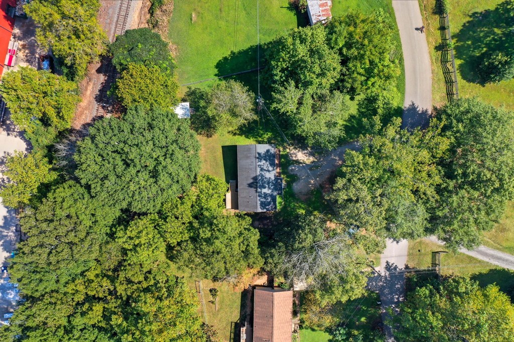 255 Lowry Street Ball Ground, GA 30107 - Photo 20 of 23