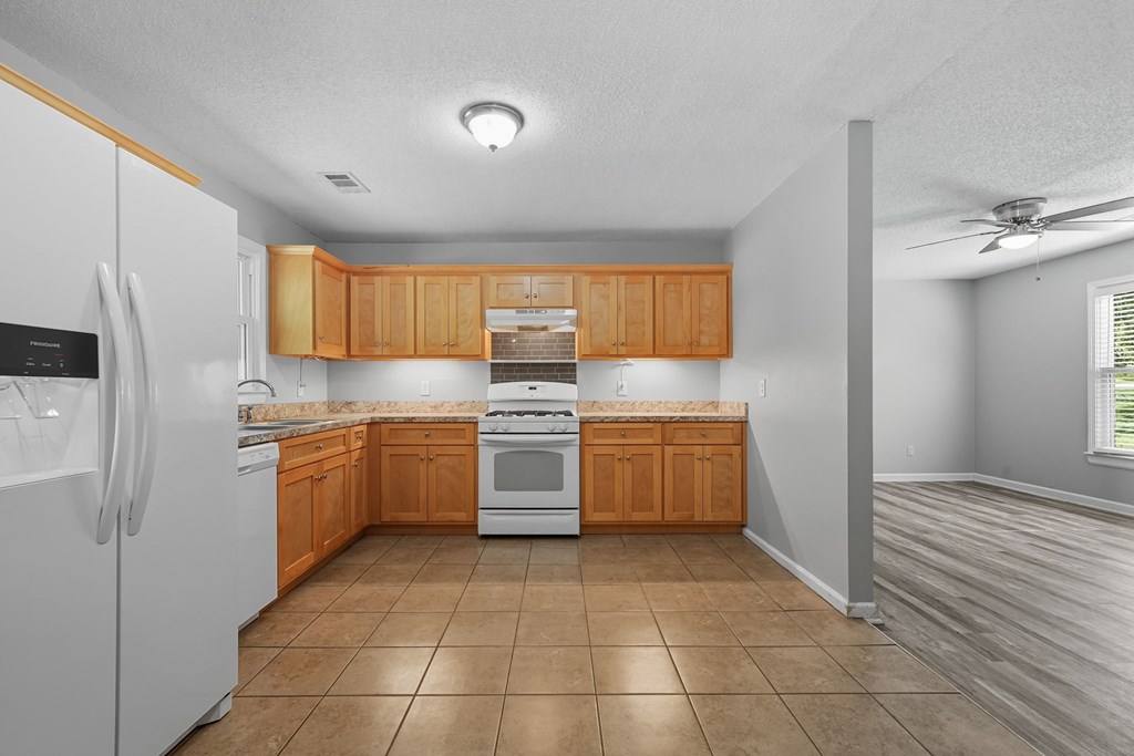 255 Lowry Street Ball Ground, GA 30107 - Photo 4 of 23