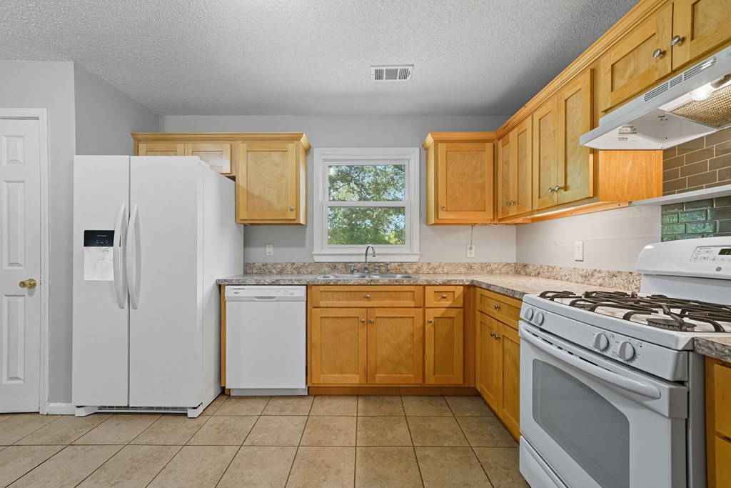 255 Lowry Street Ball Ground, GA 30107 - Photo 5 of 23