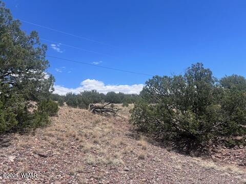 41 Indian Drive Concho, AZ 85924 - Photo 11 of 26 IMG_3676