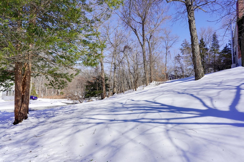 87 Roberts Road Ashland, MA 01721 - Photo 27 of 28 Gallery Image 27