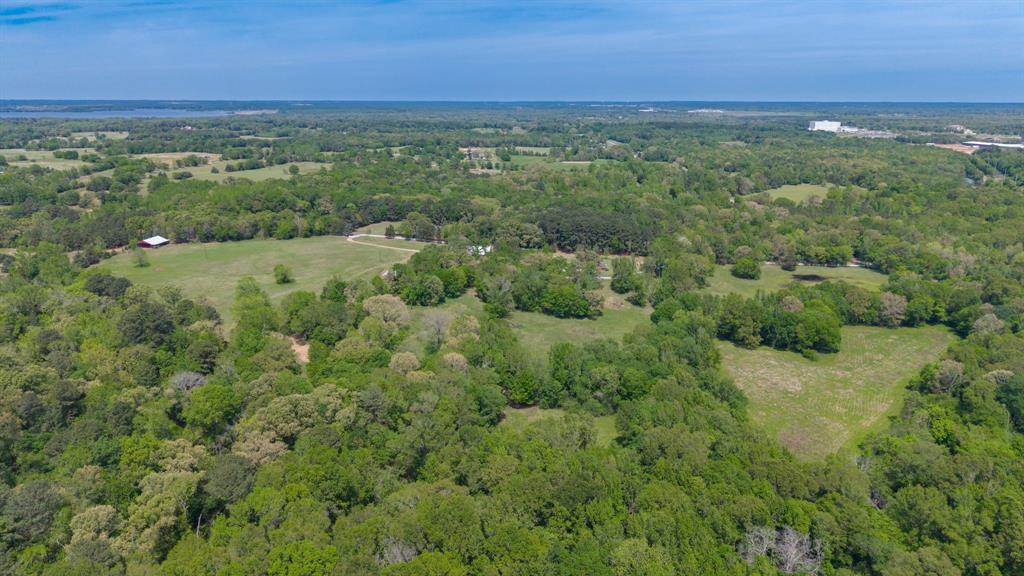 166 County Road 2112 Pittsburg, TX 75686 - Photo 38 of 40 a view of a green field with lots of trees in it