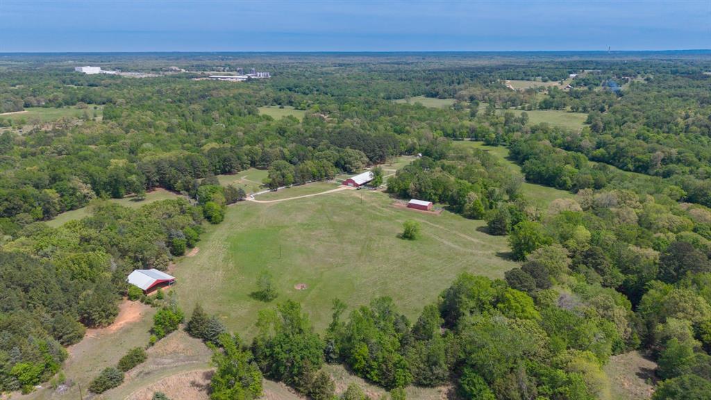 166 County Road 2112 Pittsburg, TX 75686 - Photo 39 of 40
