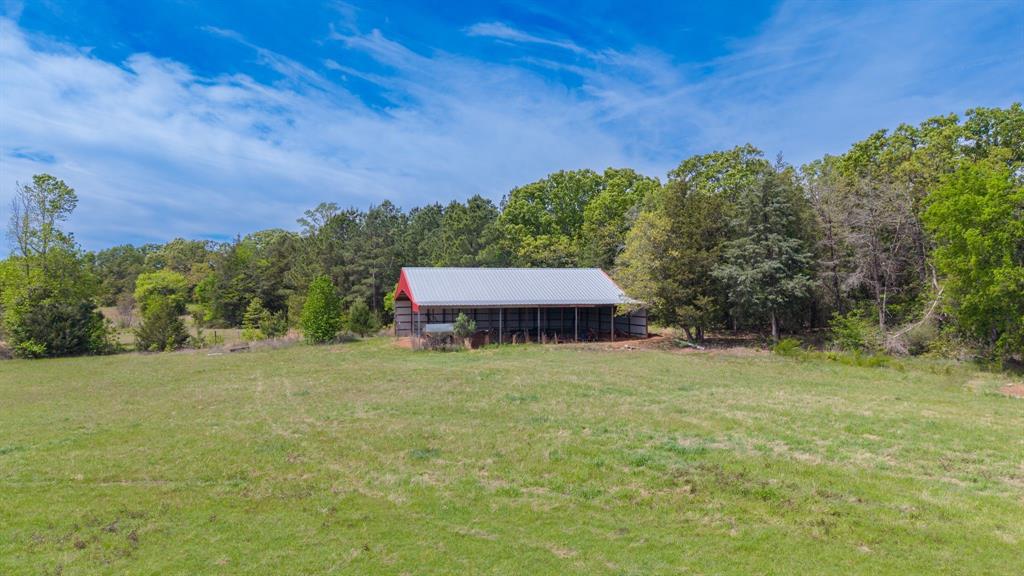 166 County Road 2112 Pittsburg, TX 75686 - Photo 6 of 40 a backyard of a house with lots of green space