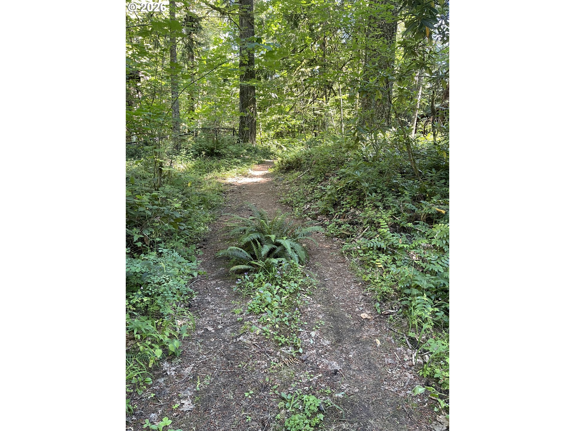 23282 East Sandy Avenue Rhododendron, OR 97049 - Photo 10 of 14 River Access