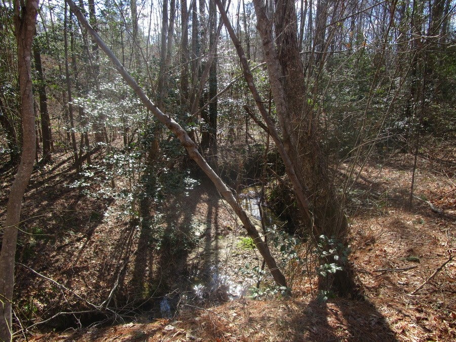 729 Flat Rock Road, Unit 1 2 Kenbridge, VA 23944 - Photo 7 of 10 Gallery Image 7