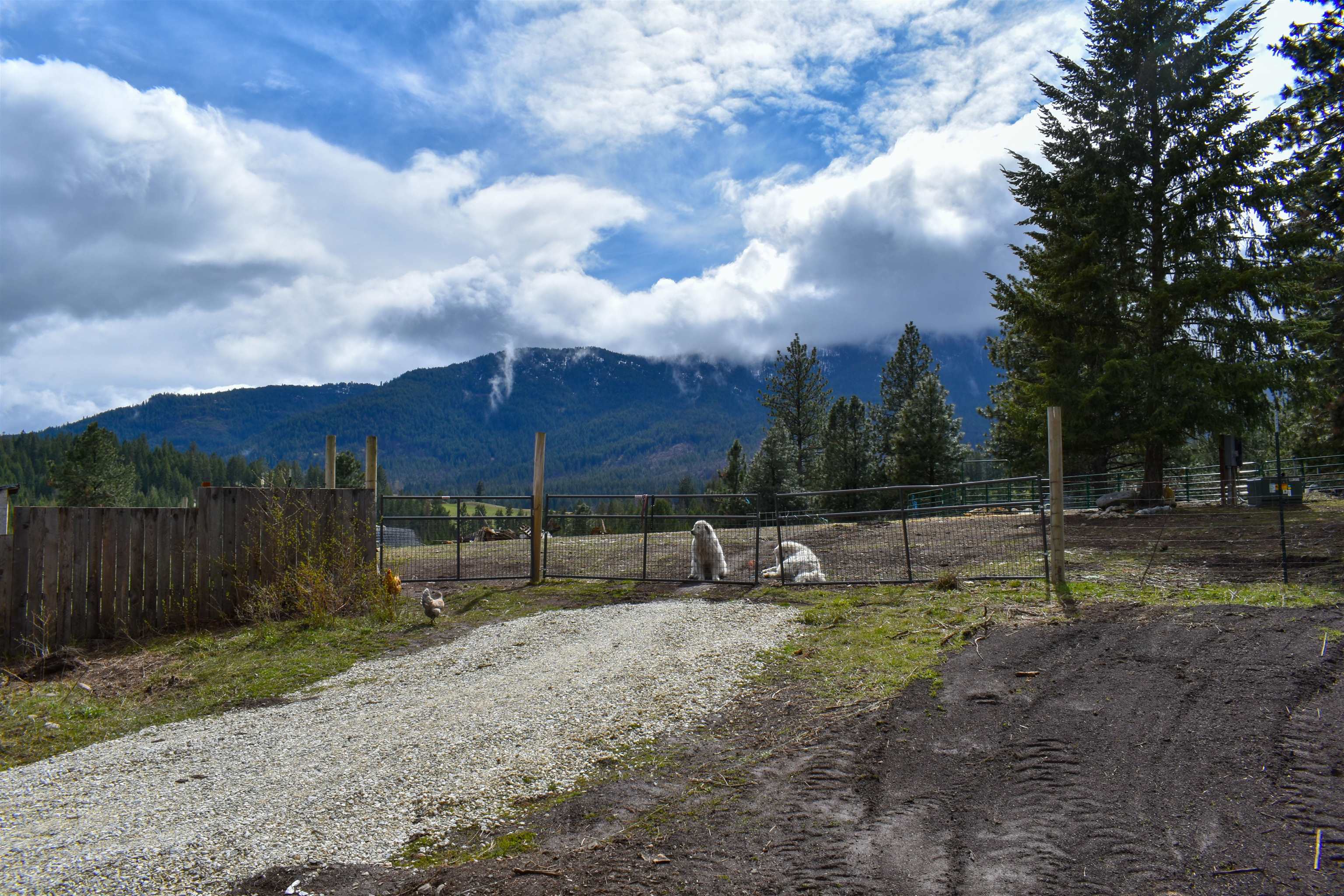 1933 Timber Ridge Way Addy, WA 99101 - Photo 23 of 30