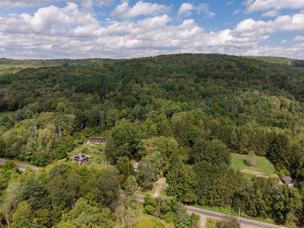 674 Cafferty Hill Road Endicott, NY 13760 - Photo 3 of 43 Gallery Image 3