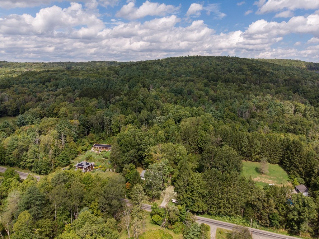 674 Cafferty Hill Road Endicott, NY 13760 - Photo 39 of 43 Gallery Image 39
