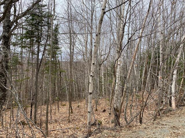 Lot 25 Pauls Path Sandy River Plt, ME 04970 - Photo 2 of 12 IMG_0168