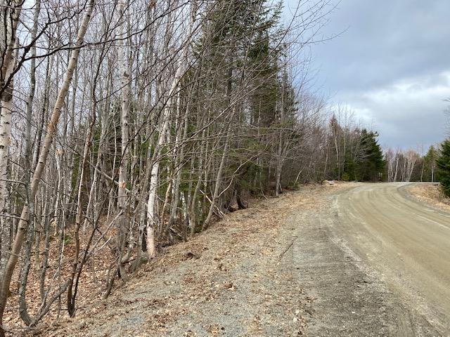 Lot 25 Pauls Path Sandy River Plt, ME 04970 - Photo 4 of 12 IMG_0169