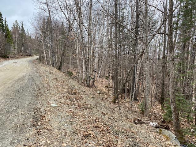 Lot 25 Pauls Path Sandy River Plt, ME 04970 - Photo 5 of 12 IMG_0171