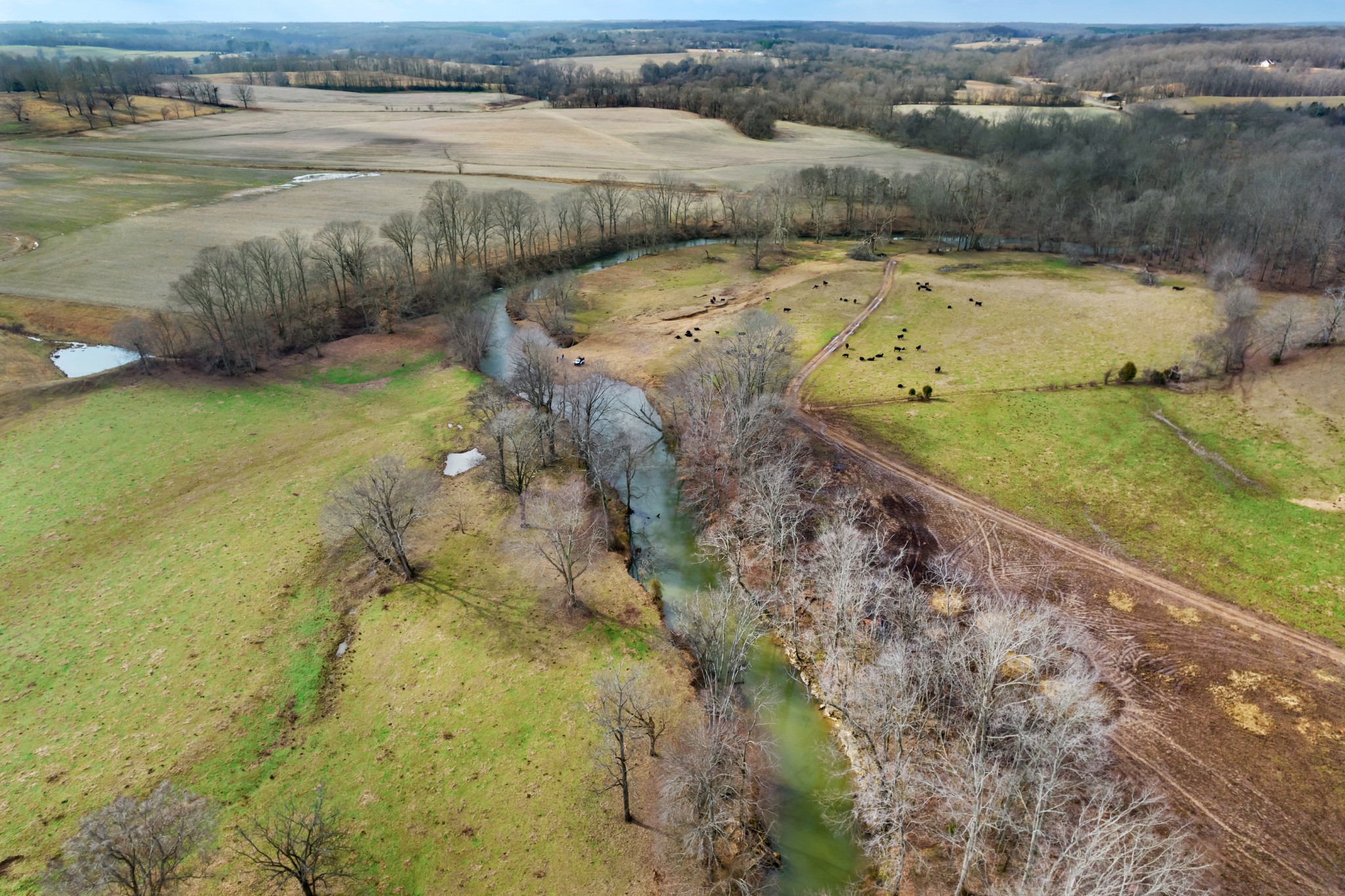 0 Turnpike Road Summertown, TN 38483 - Photo 11 of 34