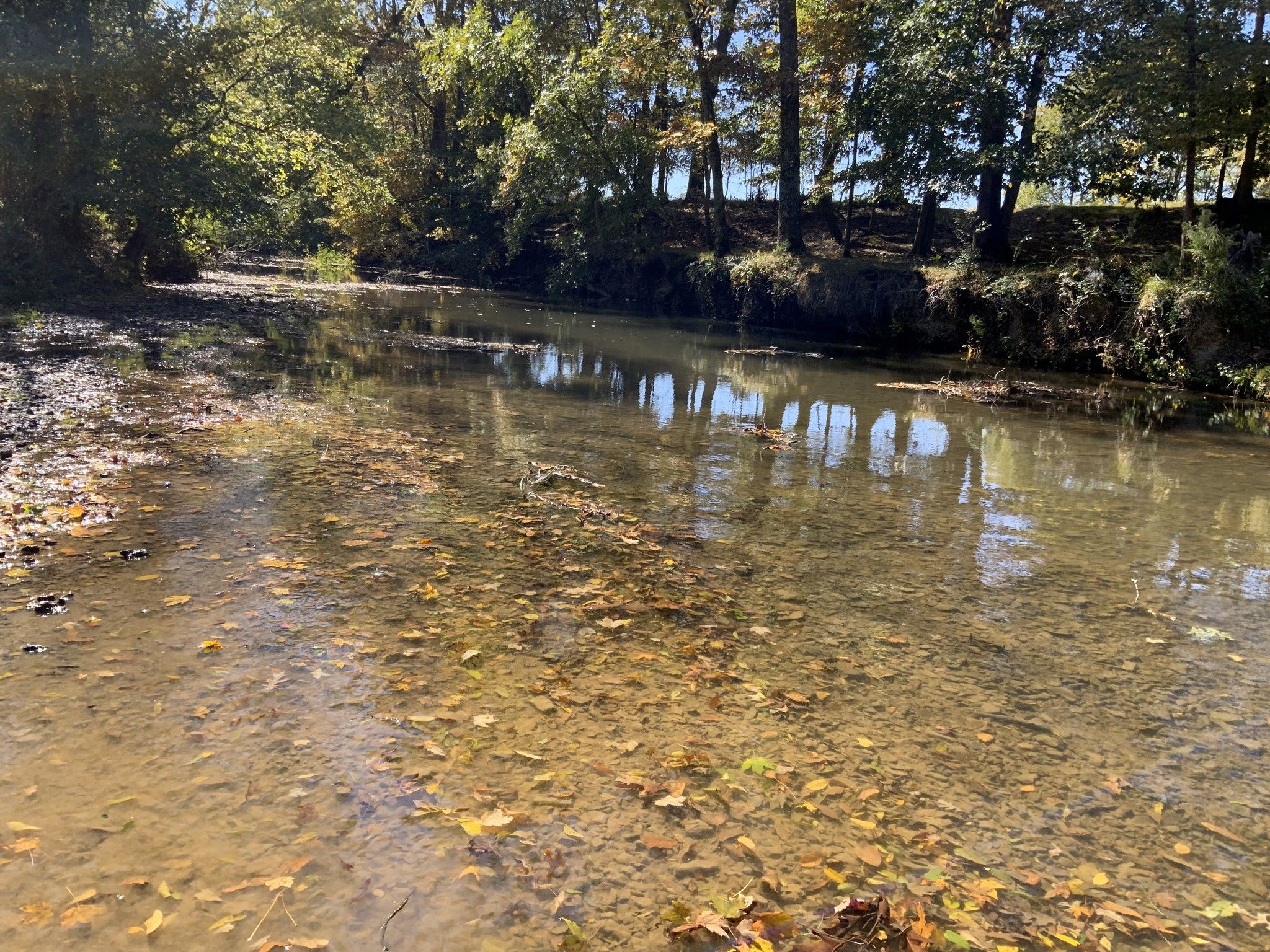 0 Turnpike Road Summertown, TN 38483 - Photo 13 of 34