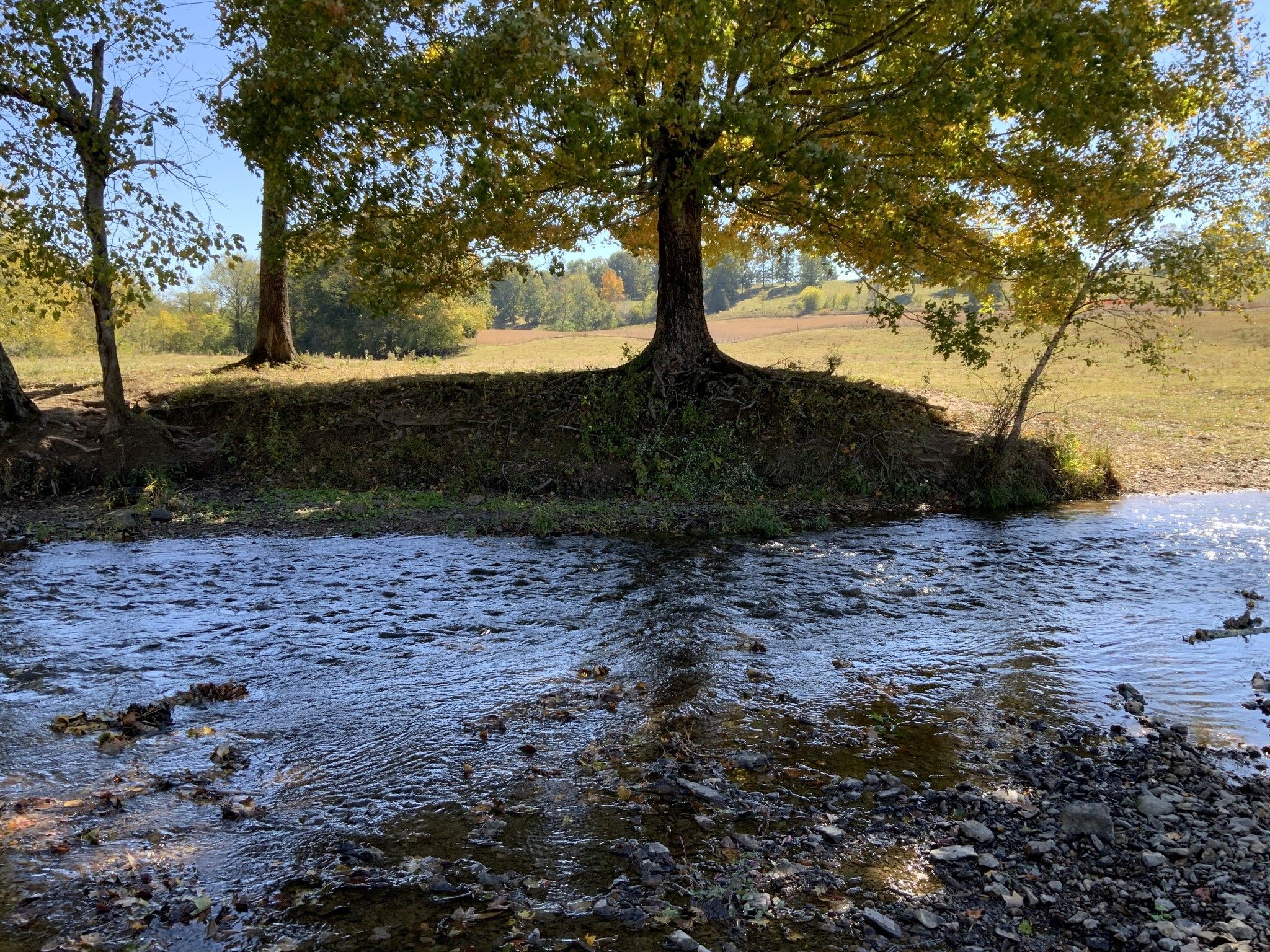 0 Turnpike Road Summertown, TN 38483 - Photo 16 of 34