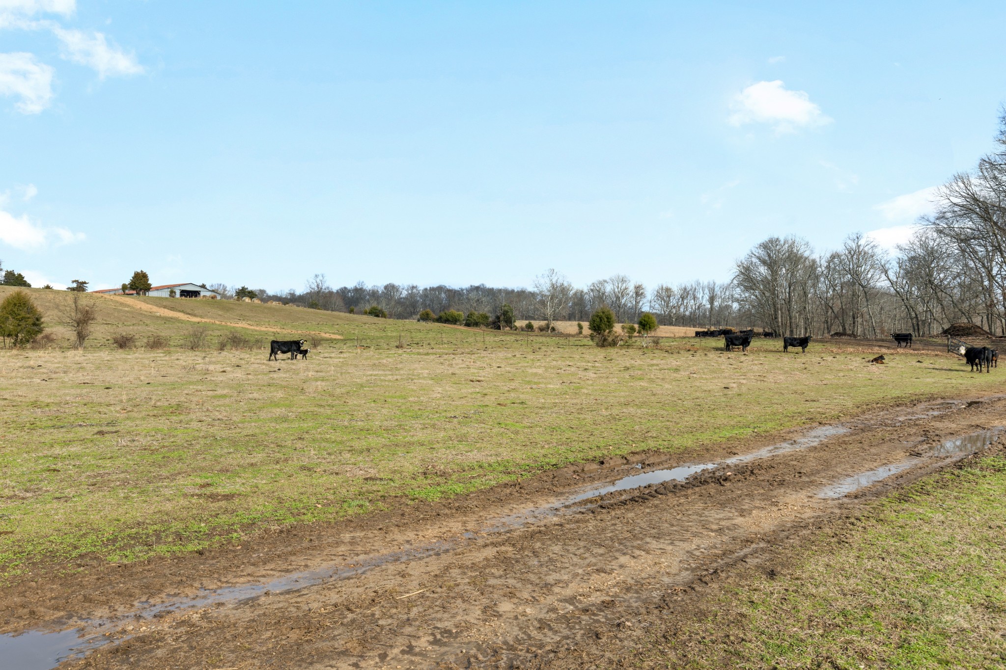 0 Turnpike Road Summertown, TN 38483 - Photo 22 of 34