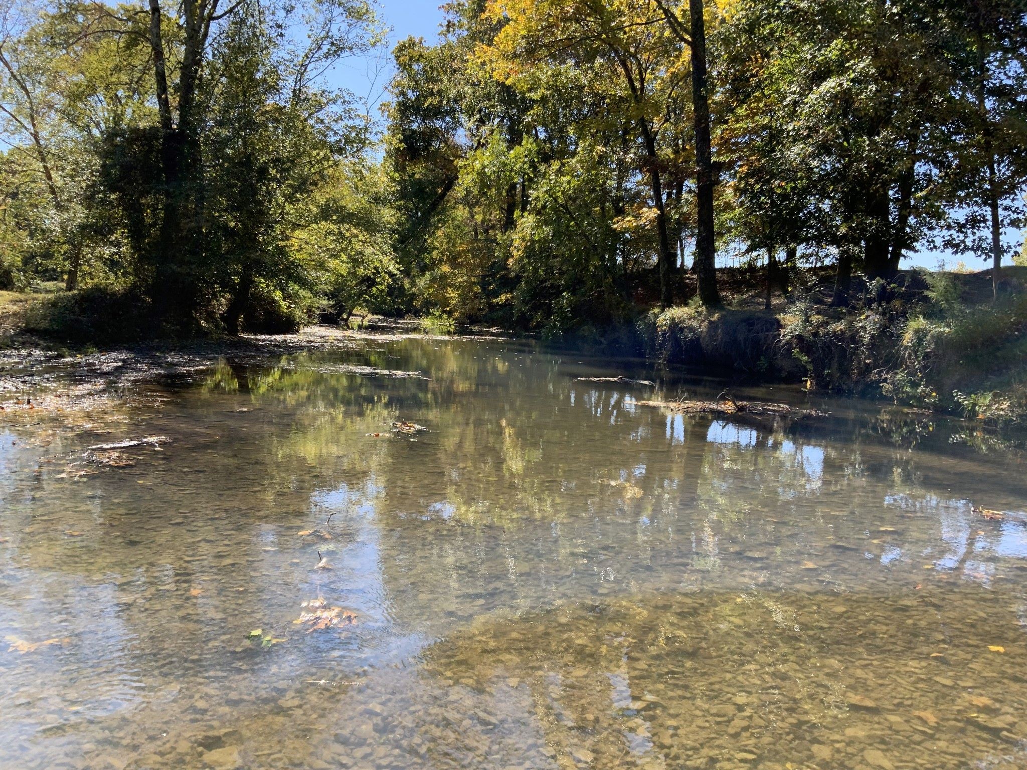 0 Turnpike Road Summertown, TN 38483 - Photo 25 of 34