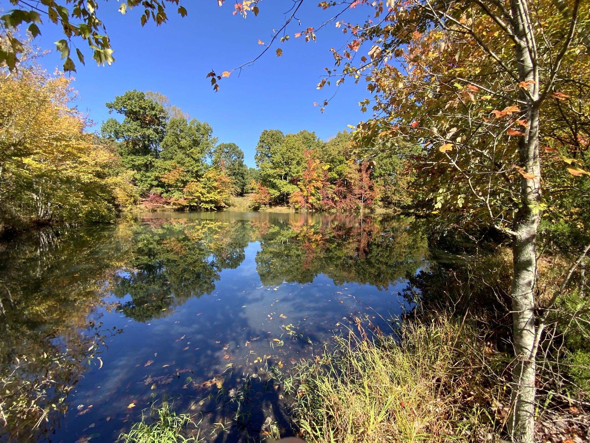 0 Turnpike Road Summertown, TN 38483 - Photo 29 of 34