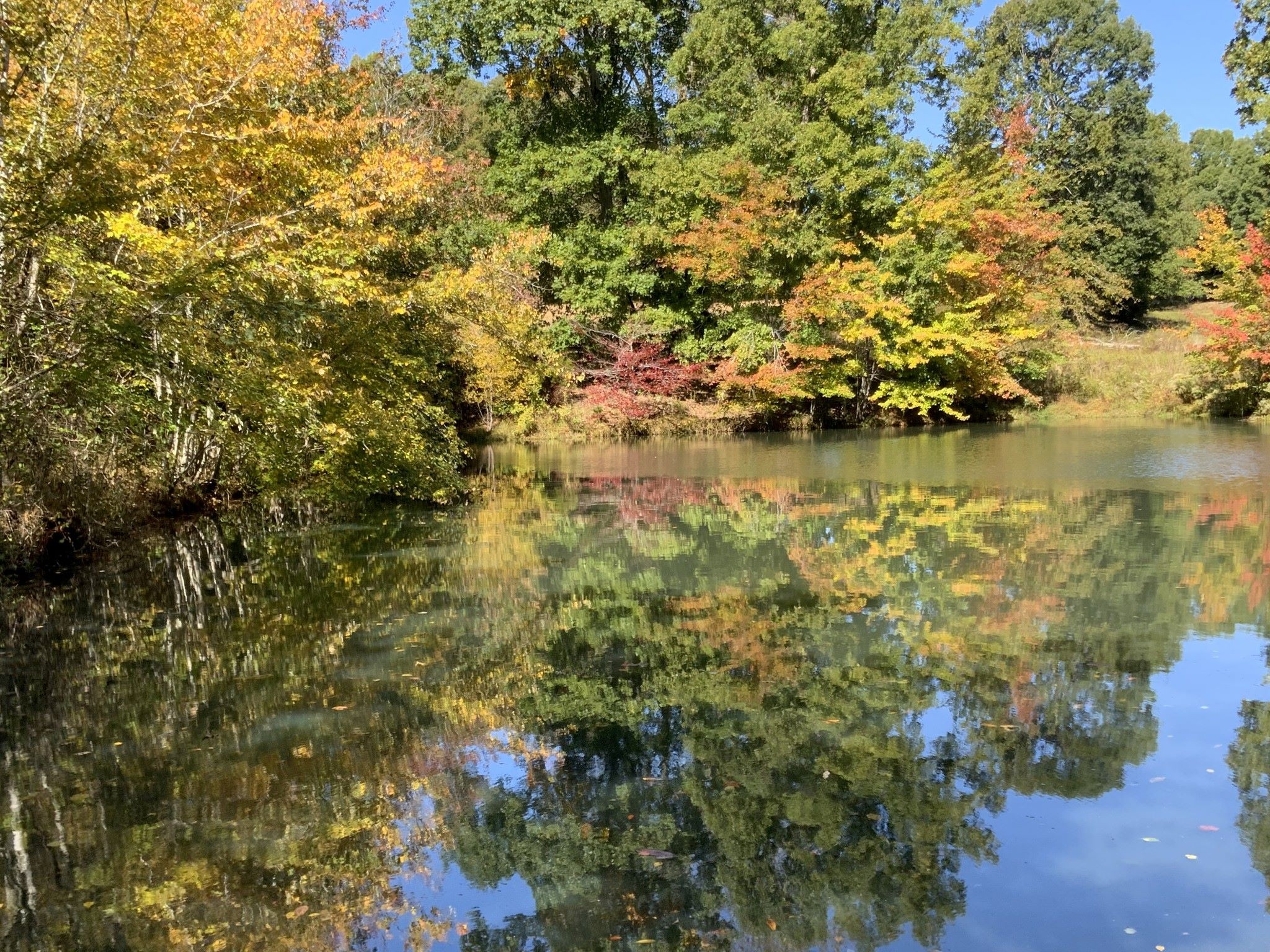 0 Turnpike Road Summertown, TN 38483 - Photo 30 of 34