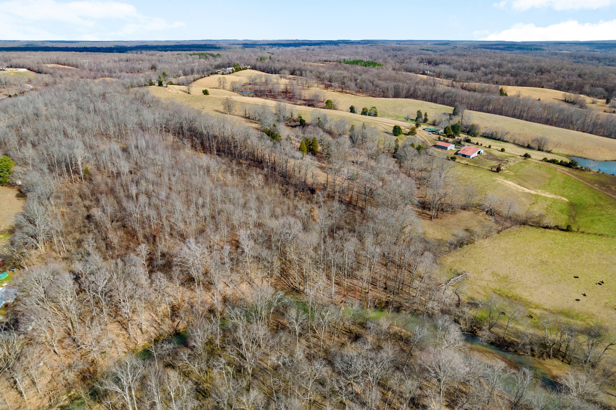 0 Turnpike Road Summertown, TN 38483 - Photo 3 of 34