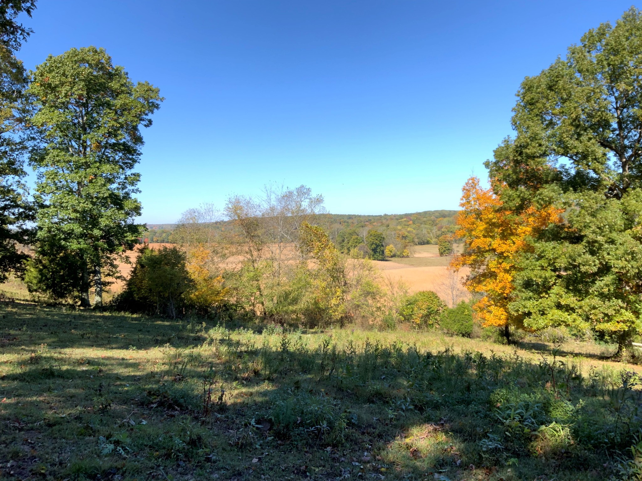 0 Turnpike Road Summertown, TN 38483 - Photo 31 of 34