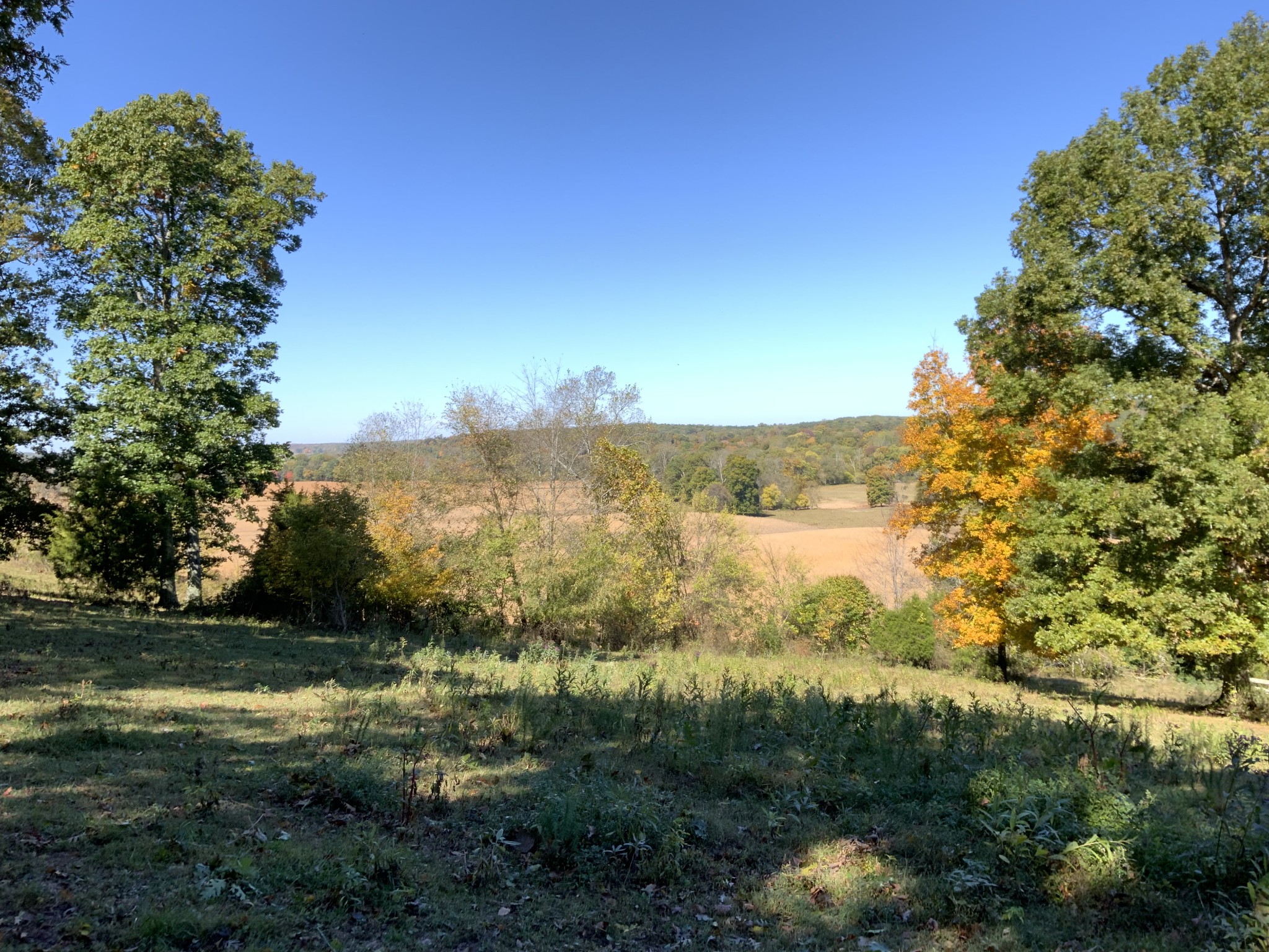 0 Turnpike Road Summertown, TN 38483 - Photo 32 of 34