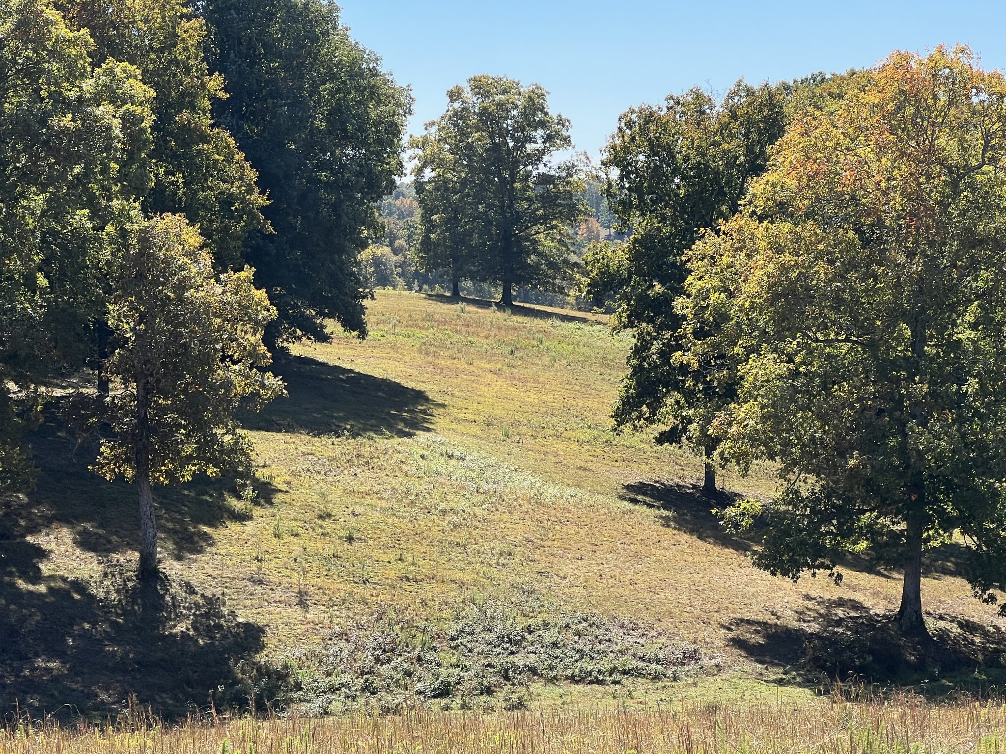 0 Turnpike Road Summertown, TN 38483 - Photo 34 of 34