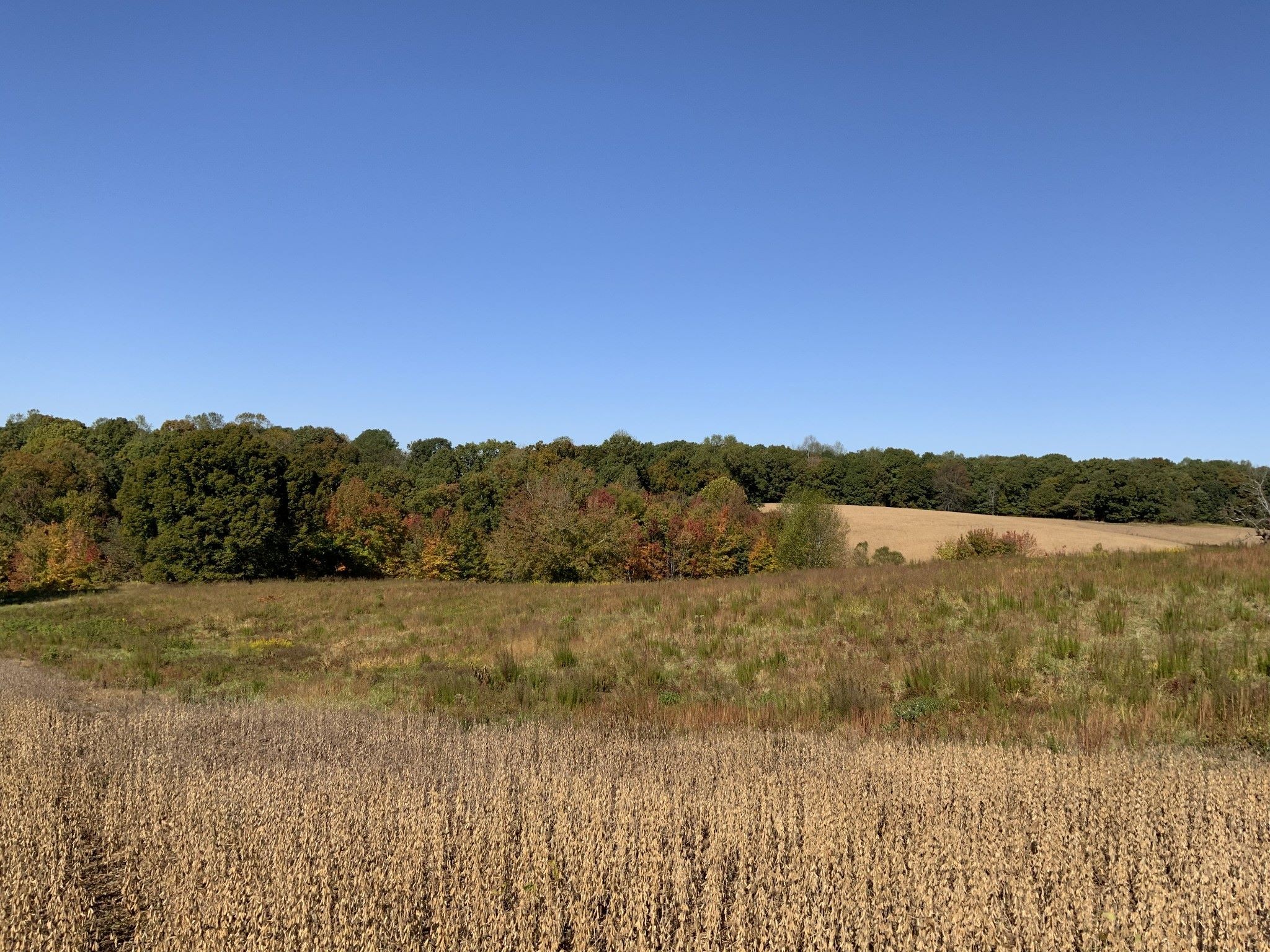 0 Turnpike Road Summertown, TN 38483 - Photo 4 of 34