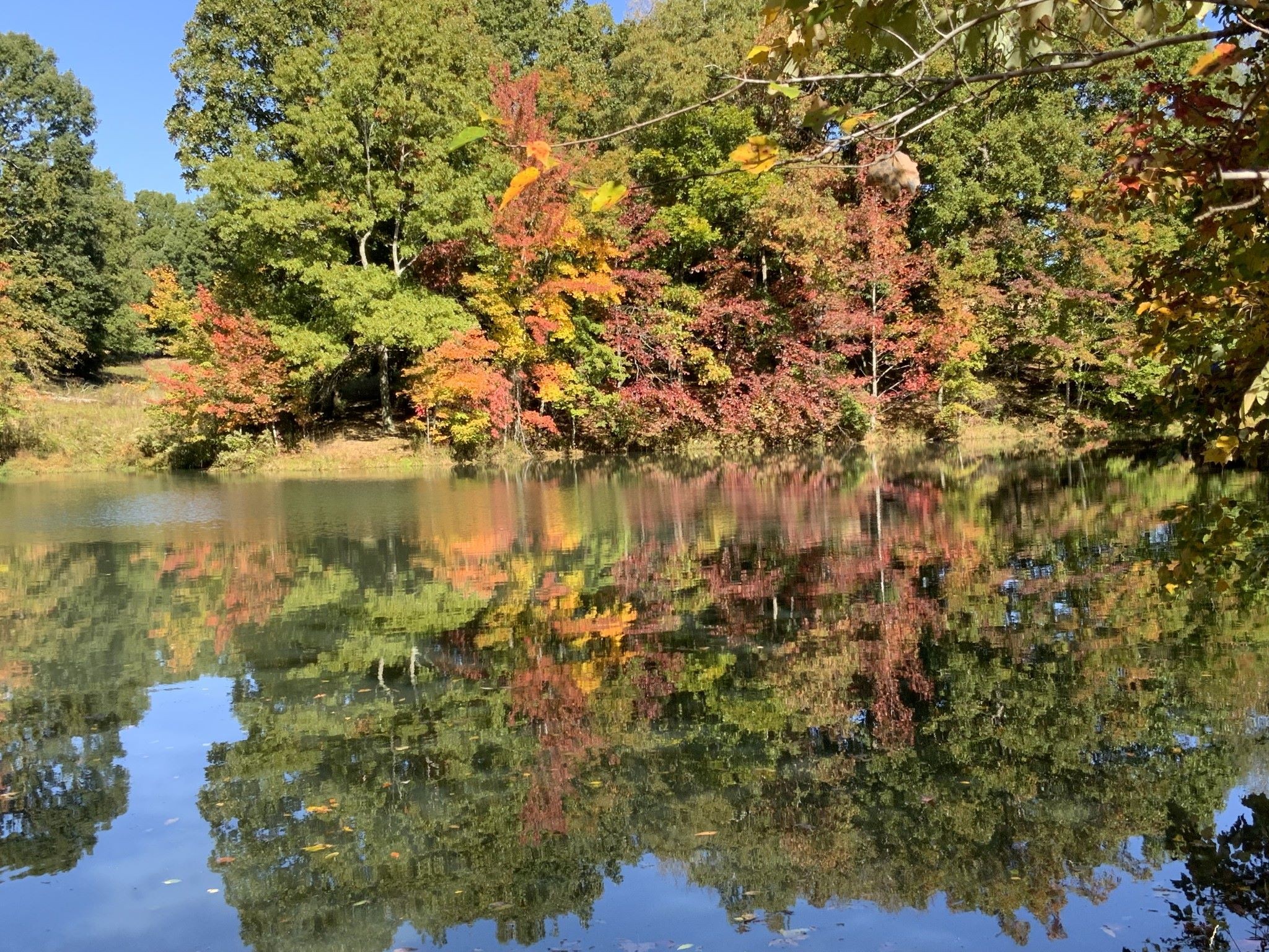 0 Turnpike Road Summertown, TN 38483 - Photo 6 of 34