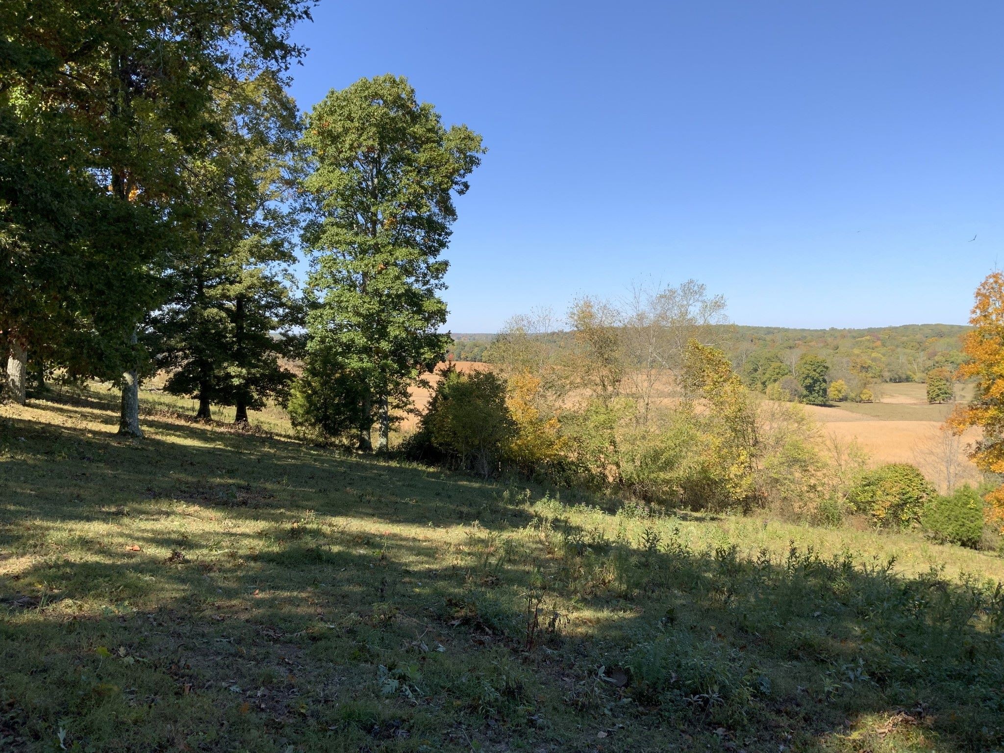 0 Turnpike Road Summertown, TN 38483 - Photo 8 of 34