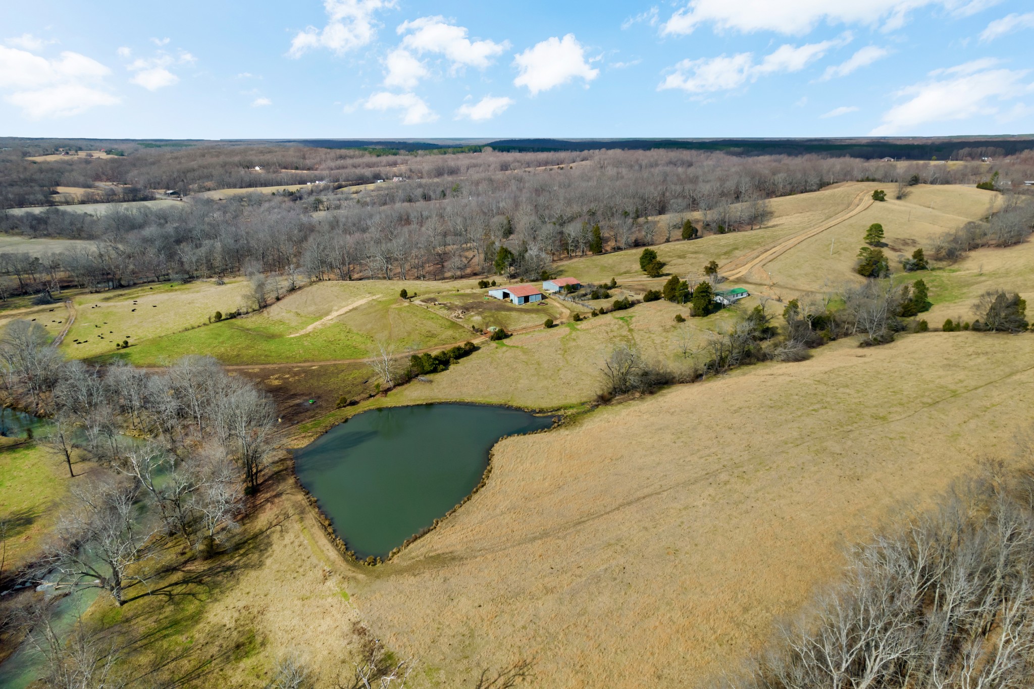 0 Turnpike Road Summertown, TN 38483 - Photo 10 of 34