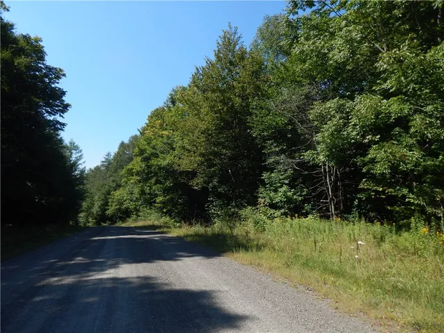 $150,000 | 0 Sam Holdridge Road, Garrattsville, NY 13342