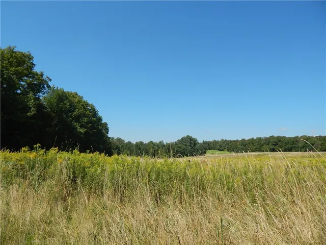 $150,000 | 0 Sam Holdridge Road, Garrattsville, NY 13342