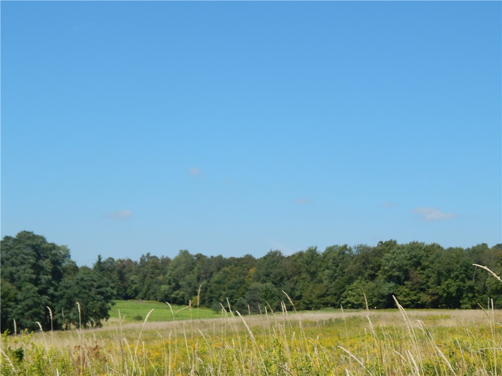 0 Sam Holdridge Road Garrattsville, NY 13342 - Photo 5 of 11