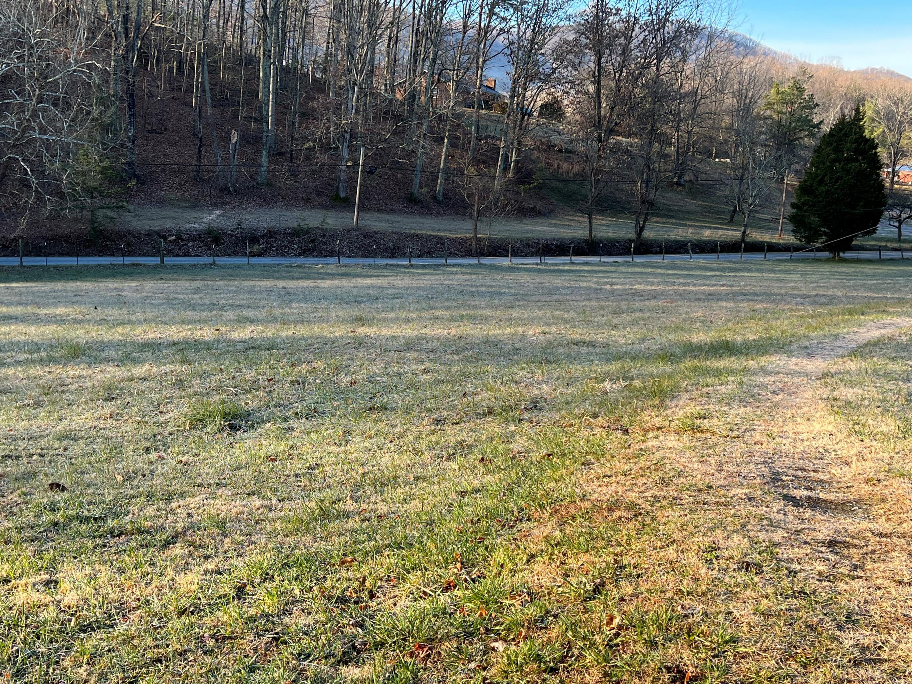 1100 Roswell Lane Blue Ridge, VA 24064 - Photo 3 of 59 photo 12