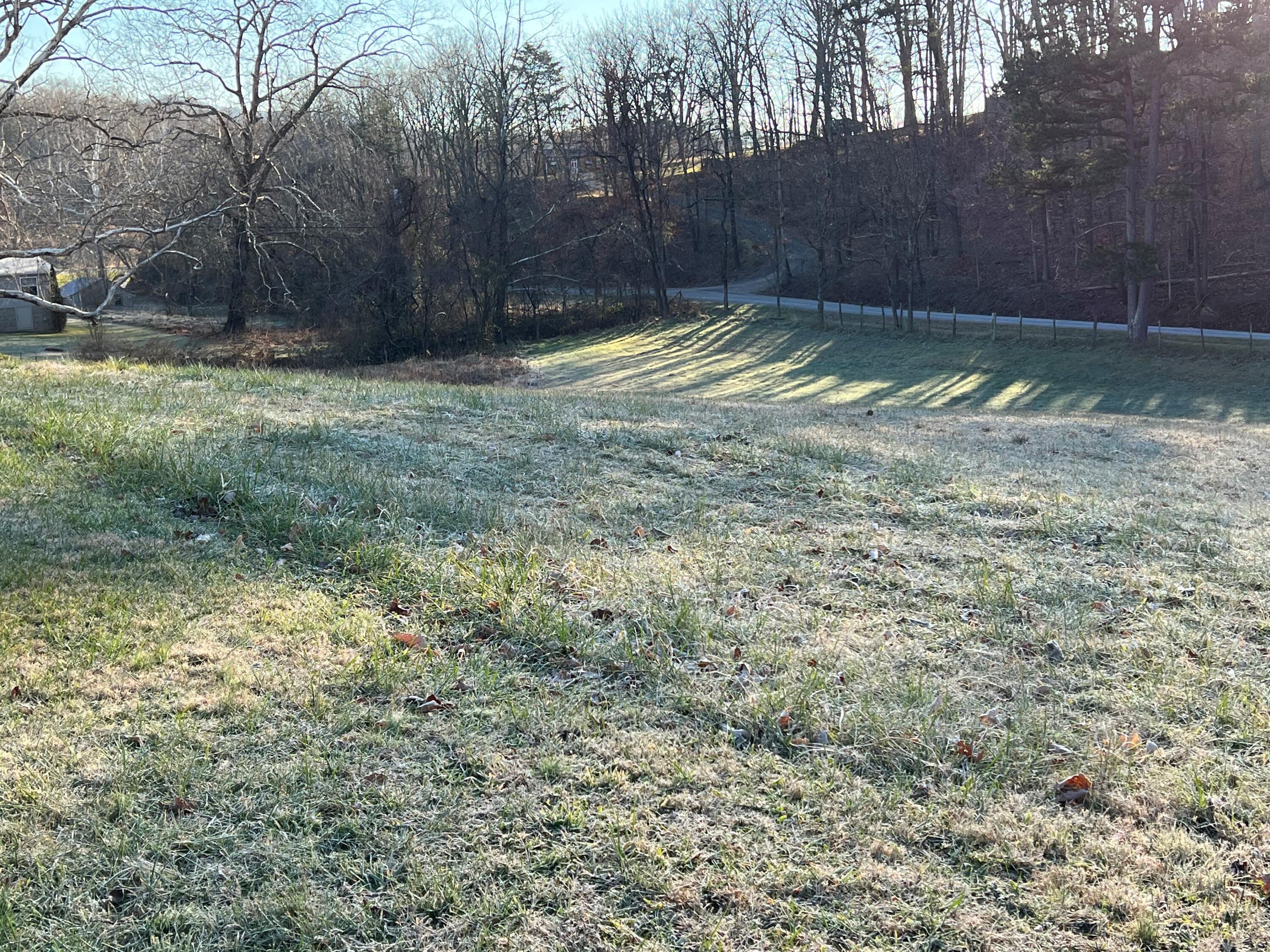 1100 Roswell Lane Blue Ridge, VA 24064 - Photo 45 of 59 photo 13