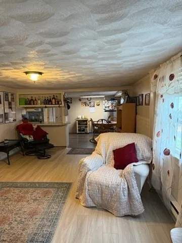 a living room with furniture and a couch