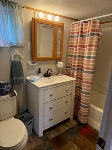 a bathroom with a sink a toilet and shower curtain