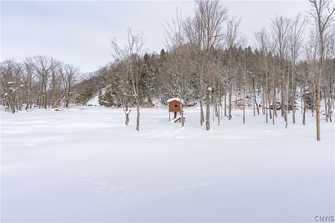 16989 Lemay Road Ellisburg, NY 13605 - Photo 49 of 50