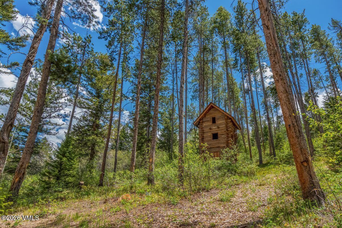 57 Travis Road Wolcott, CO 81655 - Photo 43 of 54 57 Travis Rd_kids cabin